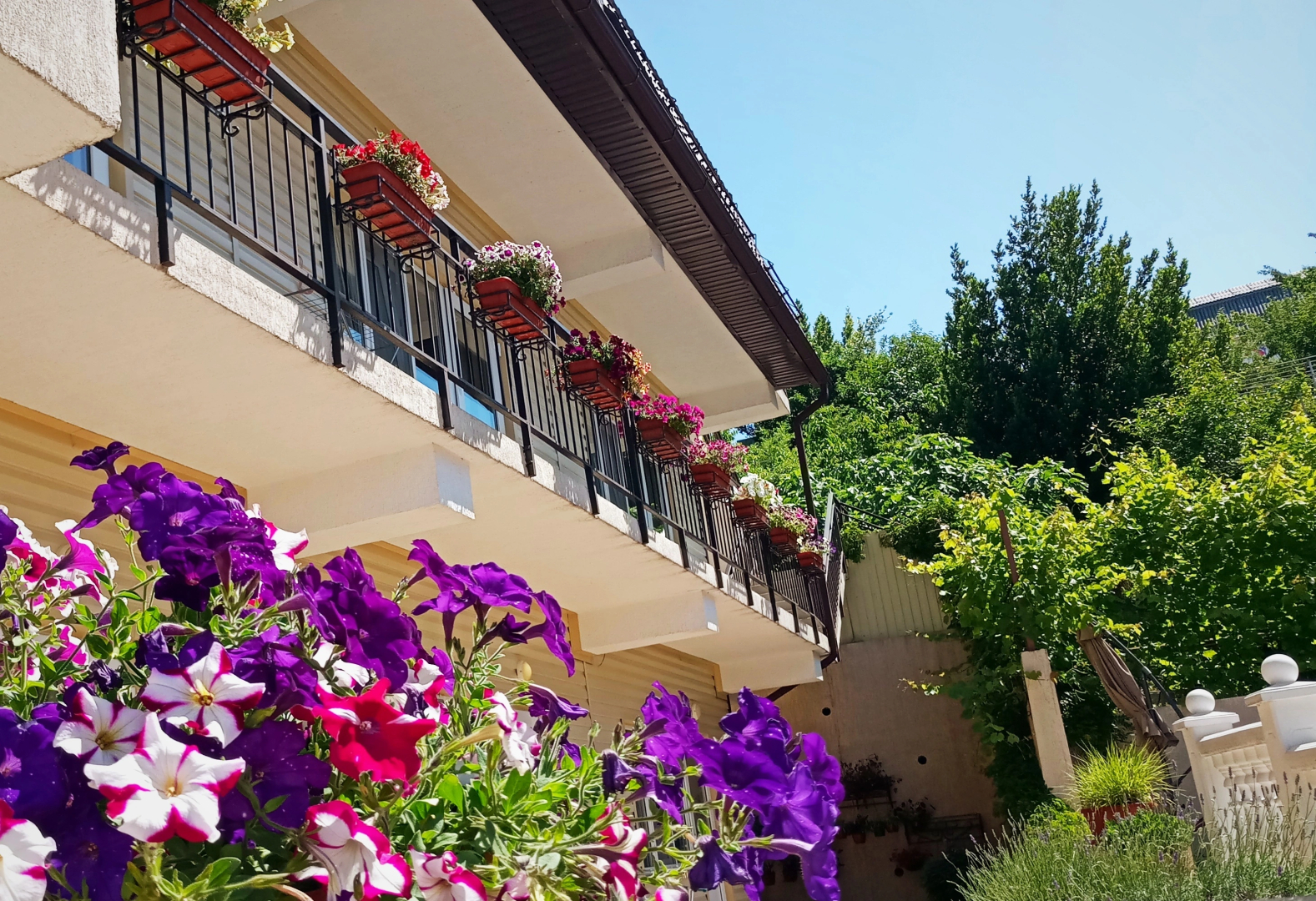 Гостевой дом Французский дом