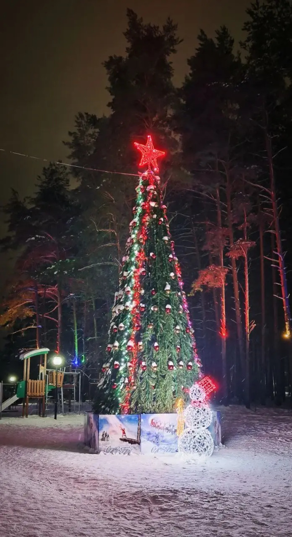 Квартира Уютная Светлояр