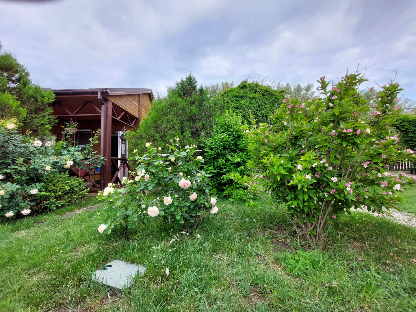 Отель Берег мечты