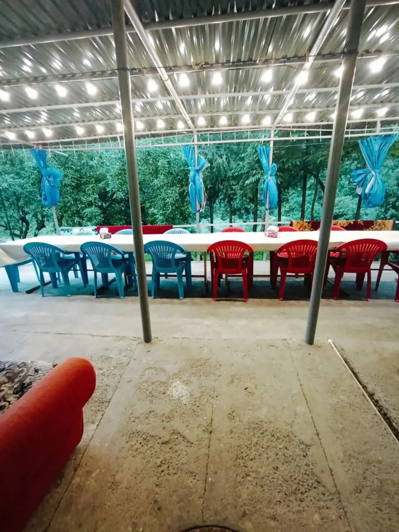 Кемпинг Three poplars by VL