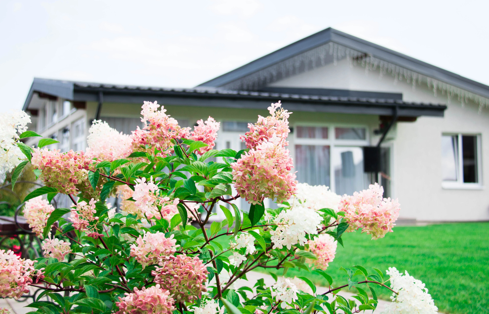 Эко-усадьба Холмы