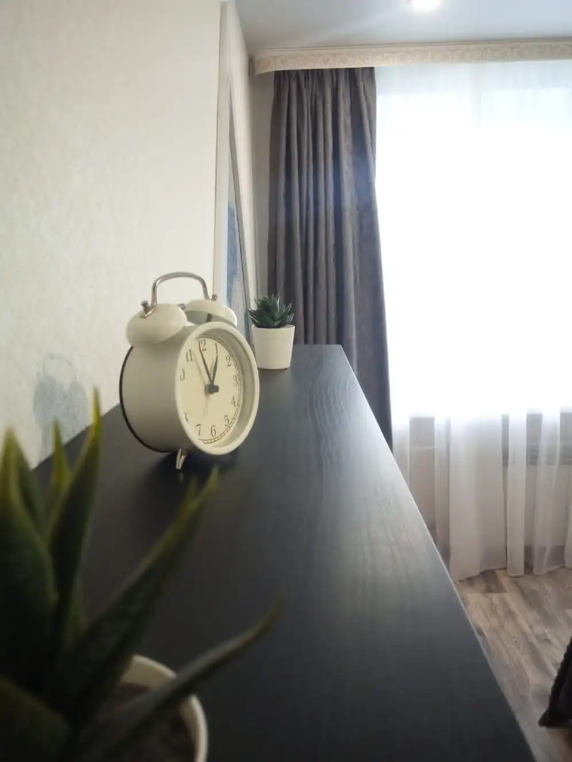 Апартаменты с джакузи на Красноармейском пер. 5