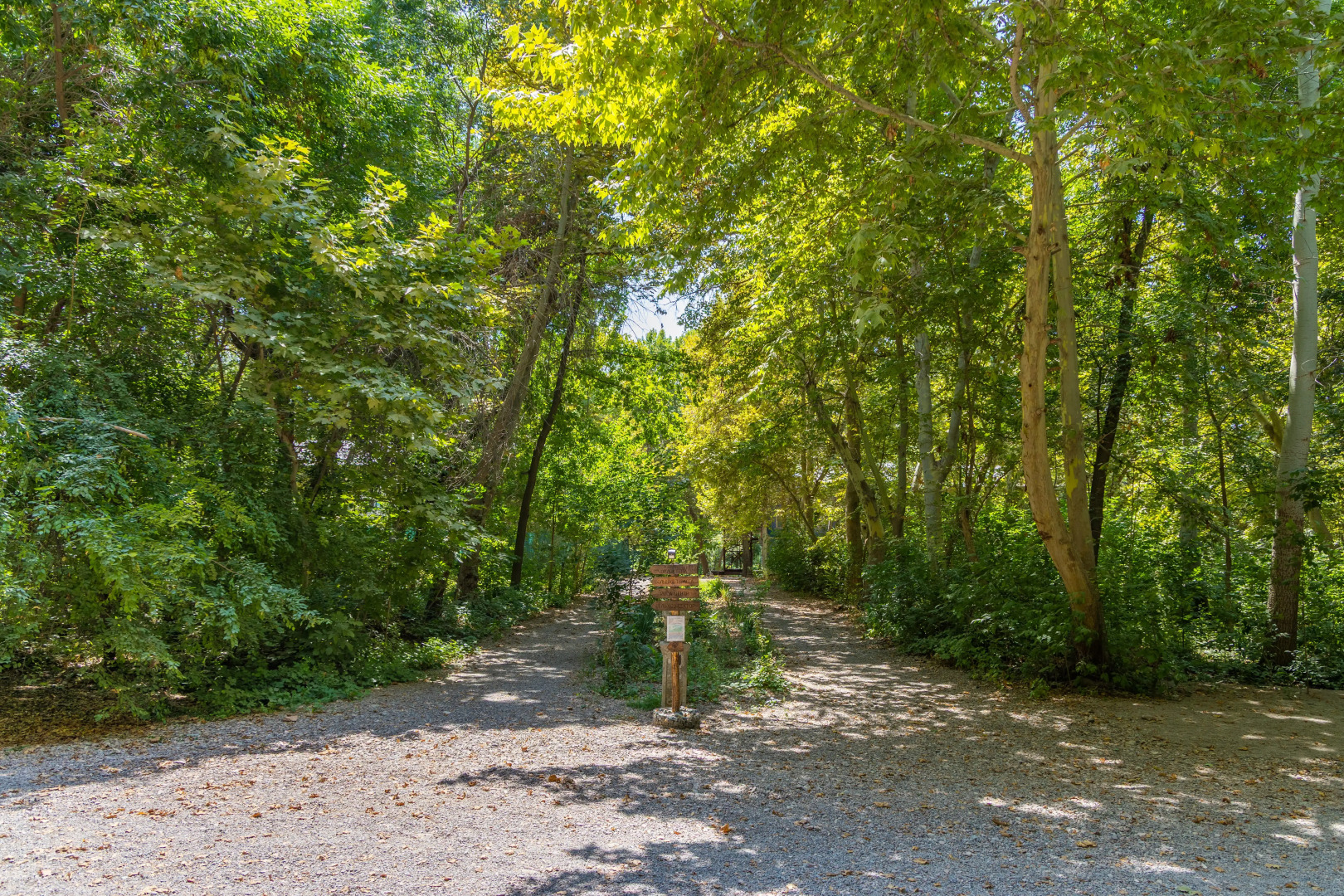 База отдыха Rano Eco Village