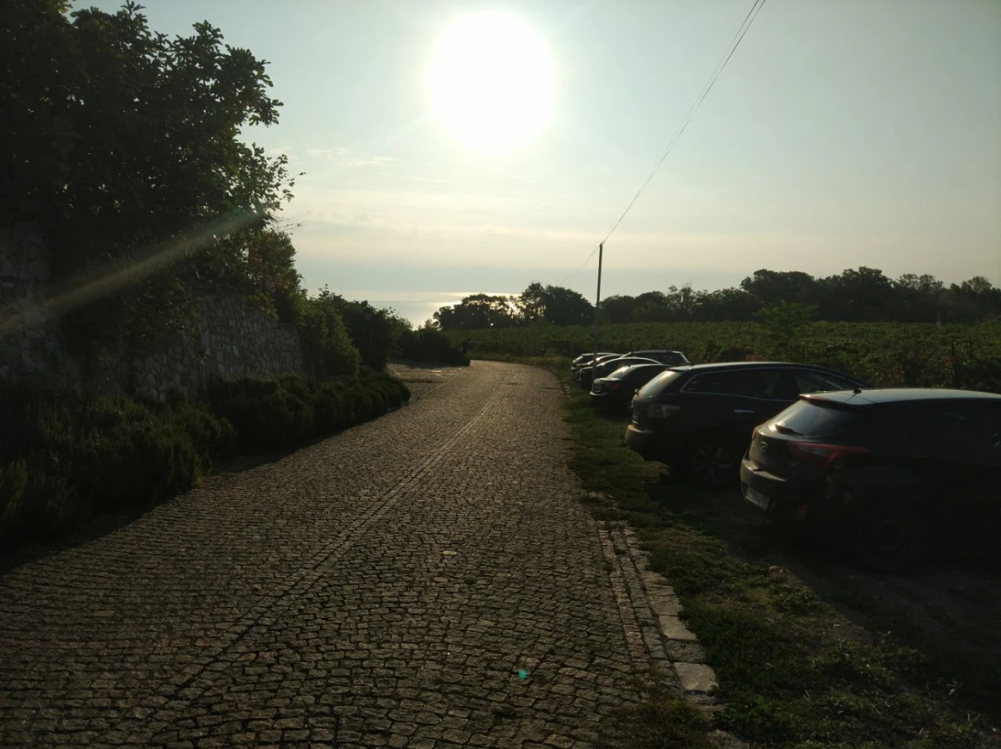 Гостевой дом Царь