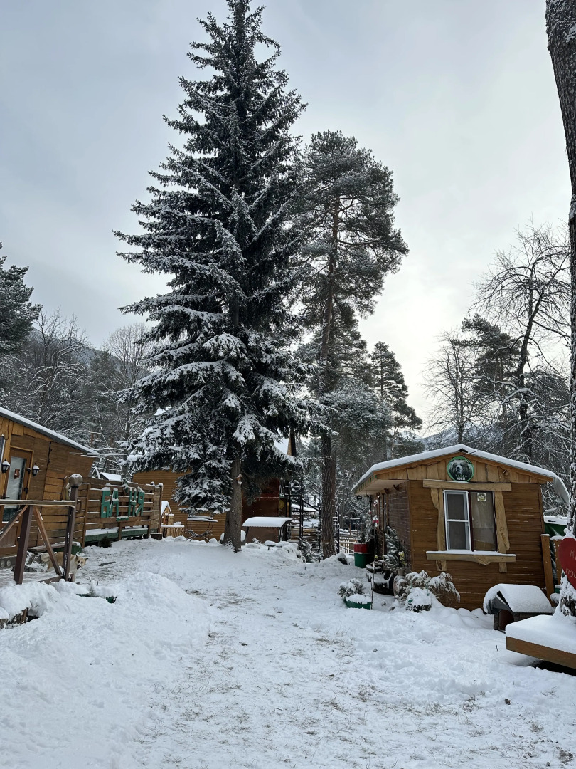 База отдыха Тайга-House