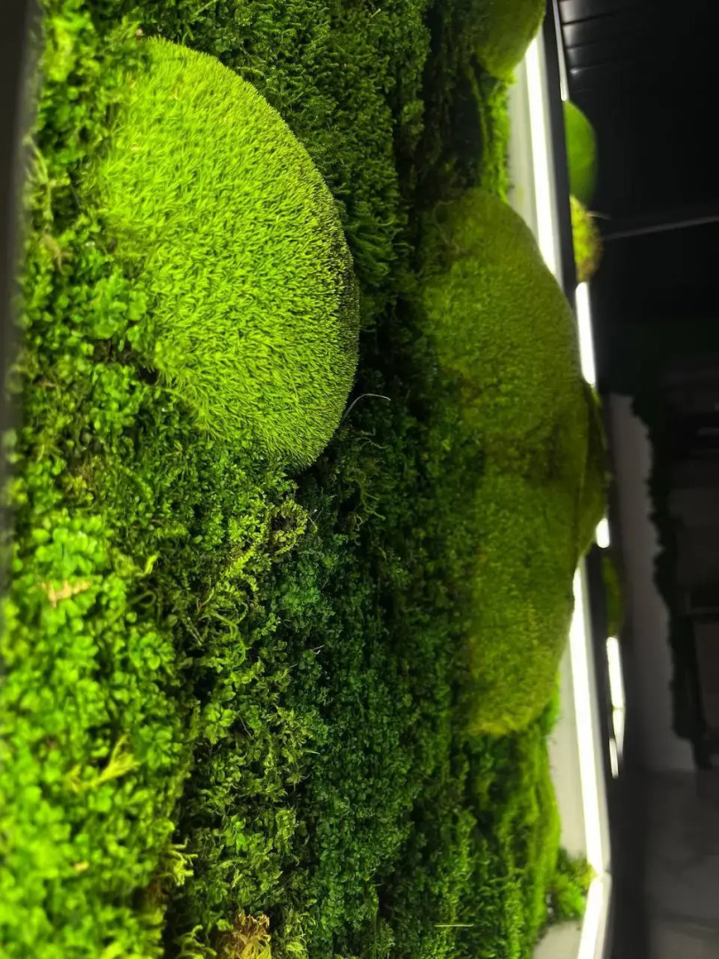 Отель СеверГранд