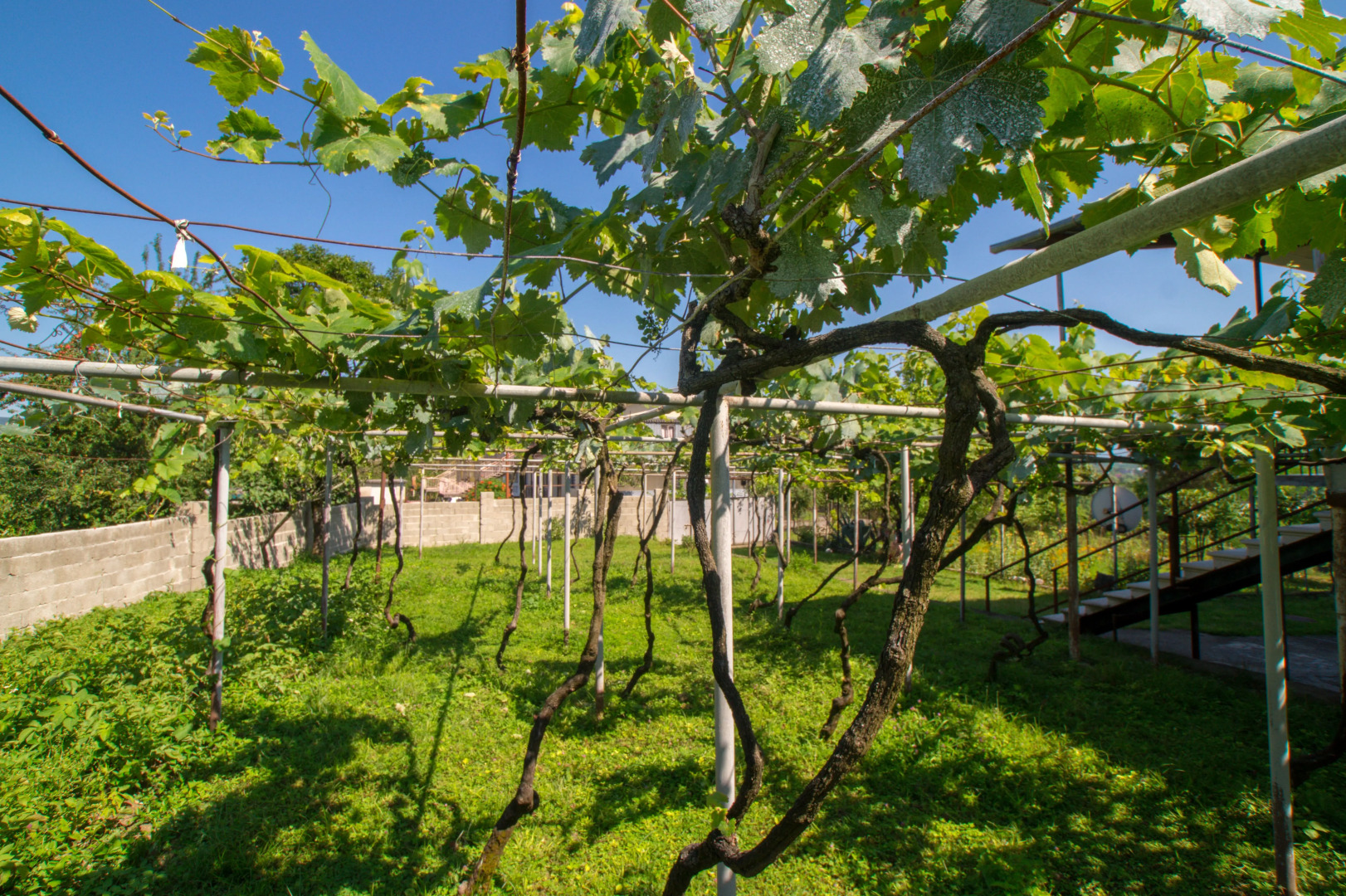Гостевой дом Irakli Guest House