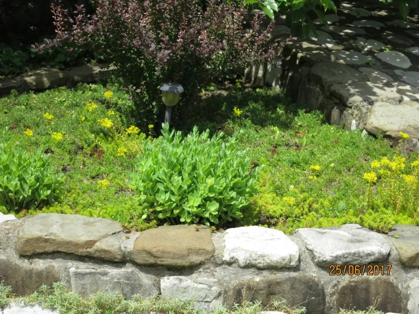 Гостевой дом Нэста РФ