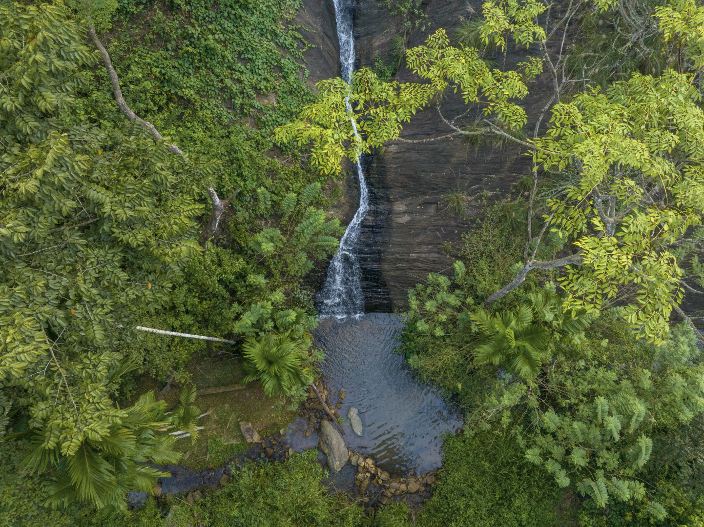 Отель Birds Park Polgahawela