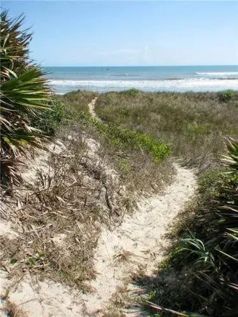 Another Day in Paradise