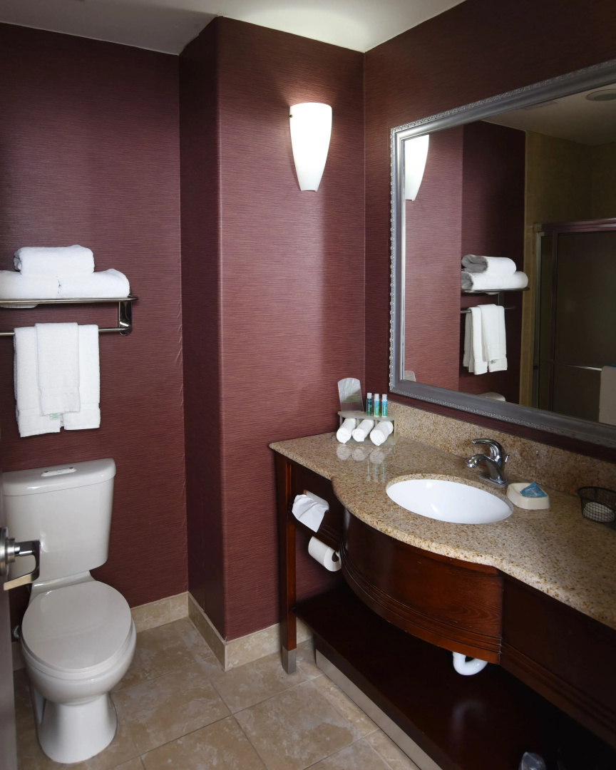 Holiday Inn Express Hotel & Suites Seguin by IHG