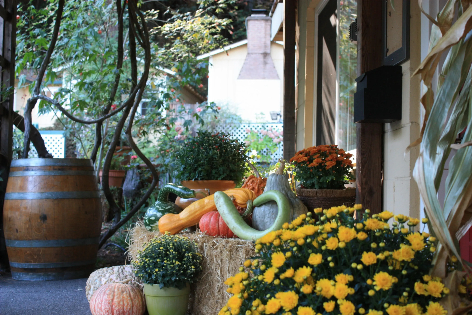 Fern Grove Cottages