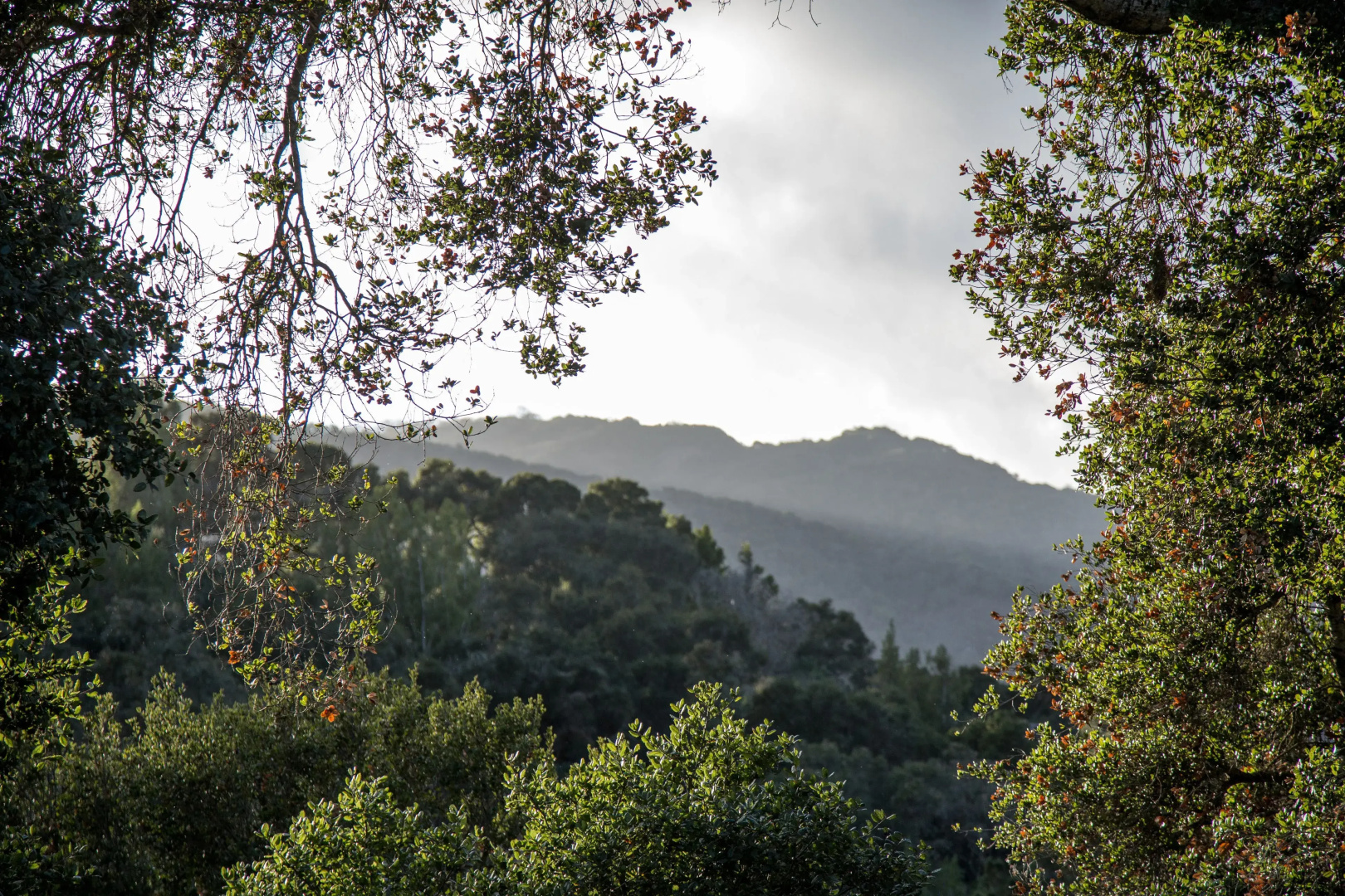 Hidden Valley Inn