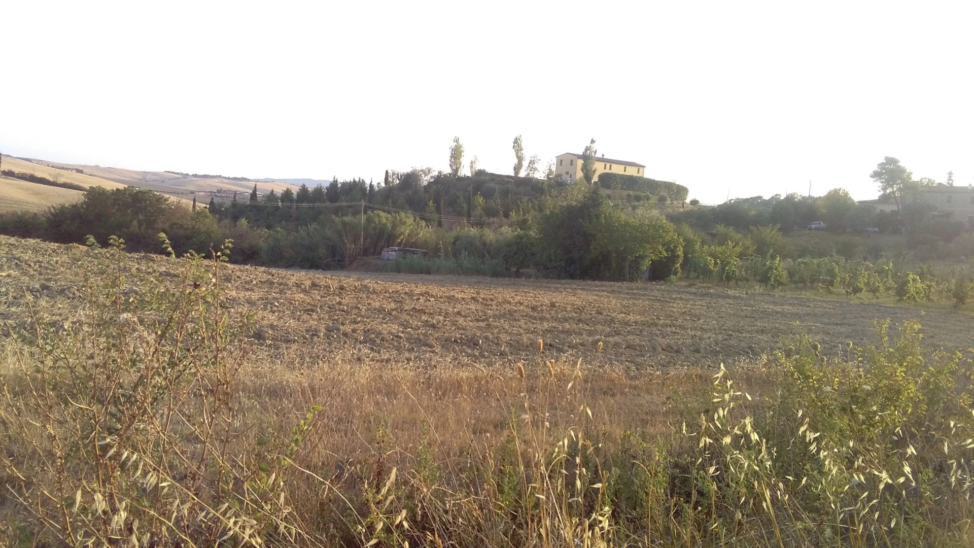 I Greppioli