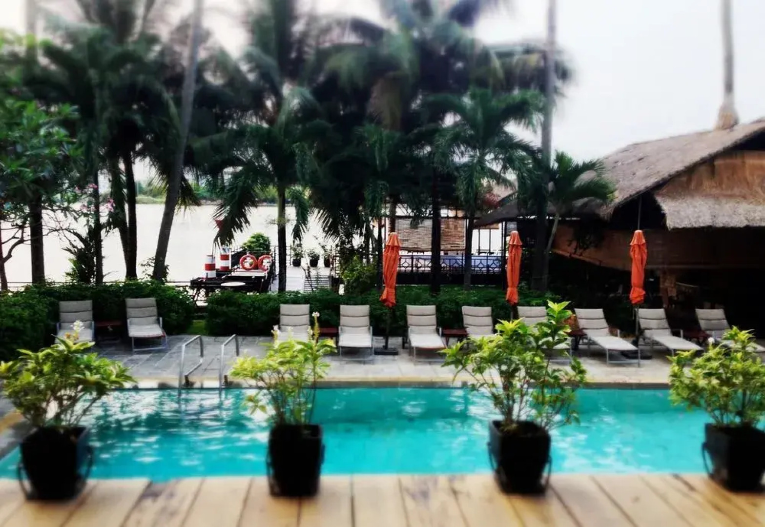 Апарт-Отель Saigon Domaine Luxury Residences