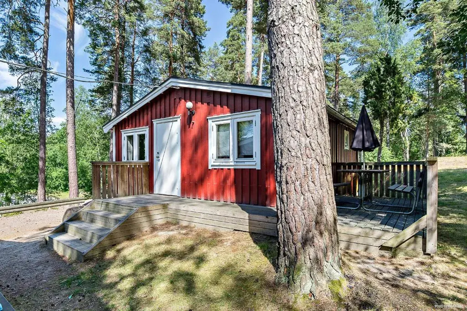 First Camp Kolmården