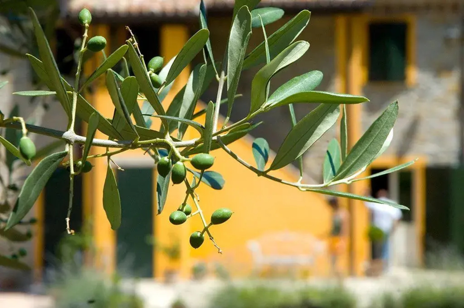 Country House Il Sassòne