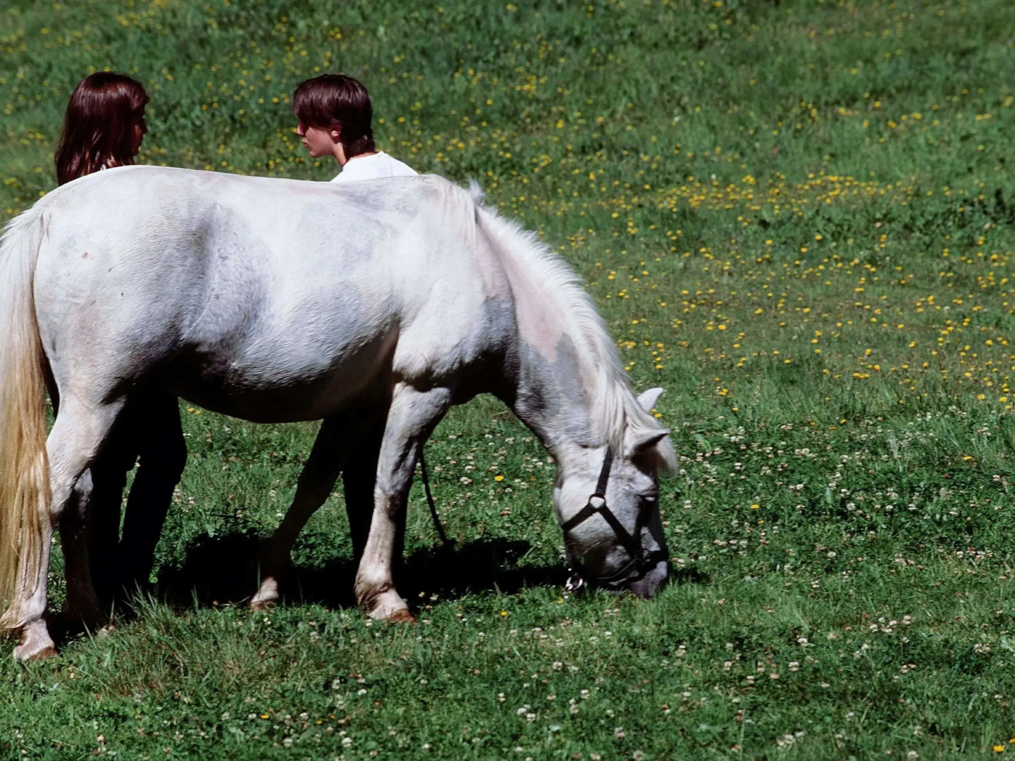 Mercure Annemasse Porte de Genève