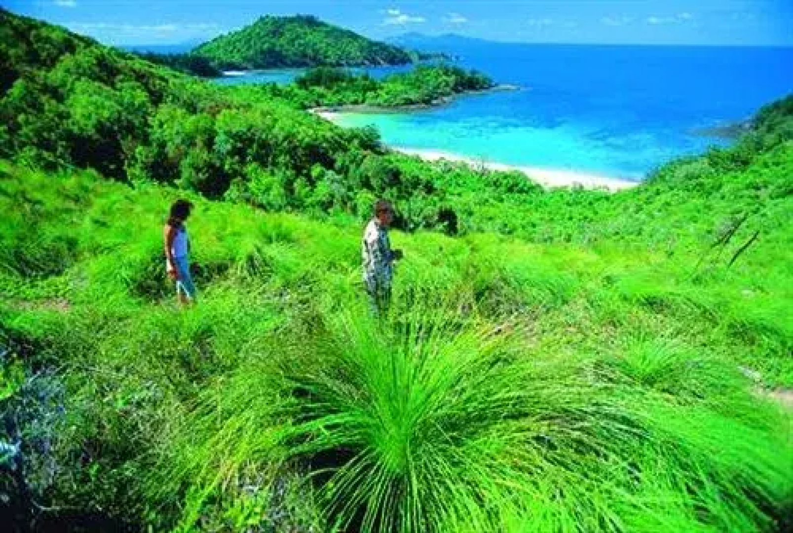 Brampton Island