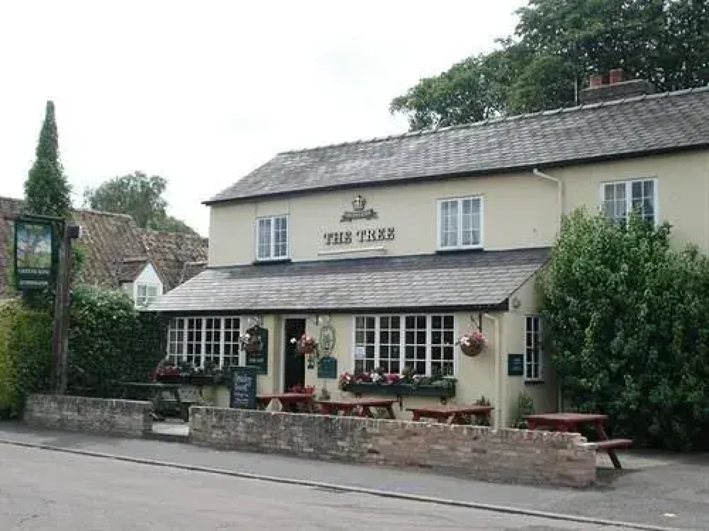 The Tree Guest House