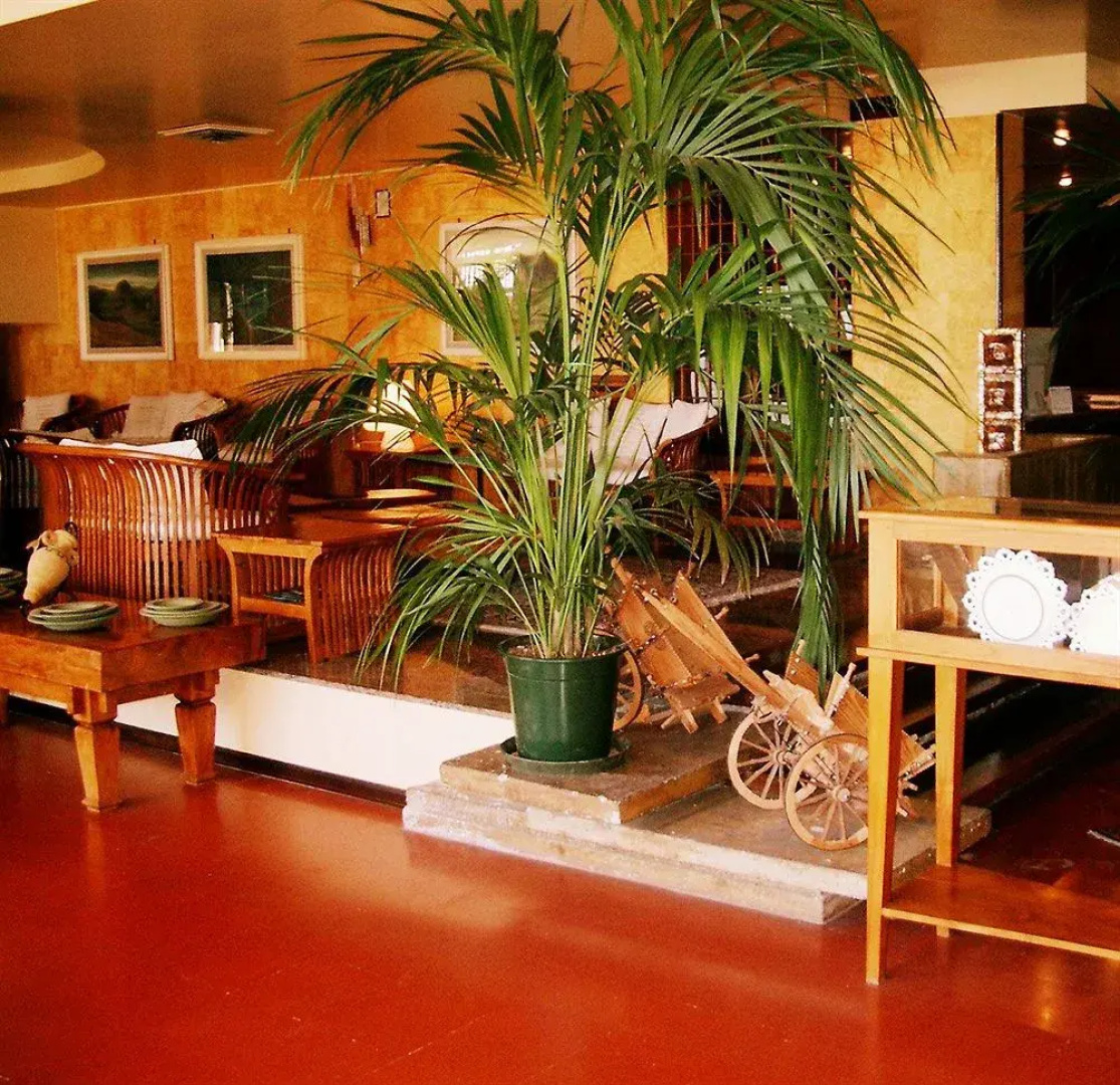 Kafara Hotel