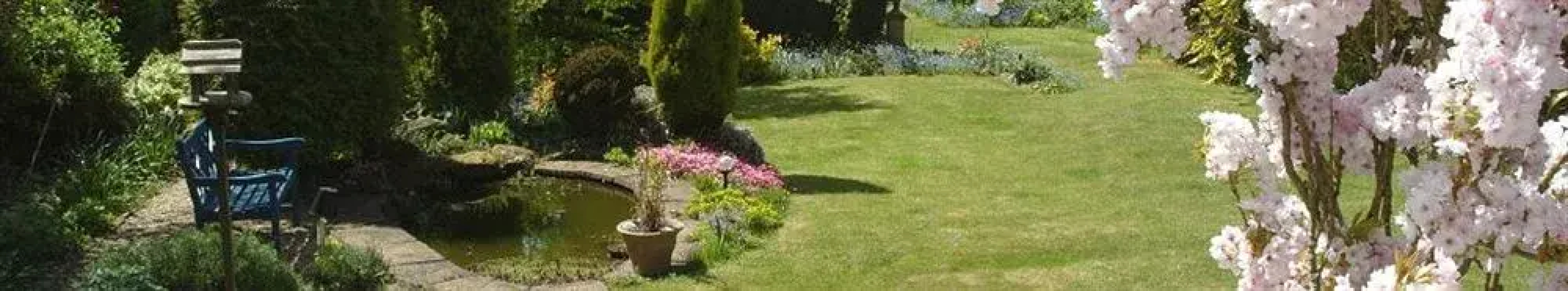 Lilac Tree Lodge B & B