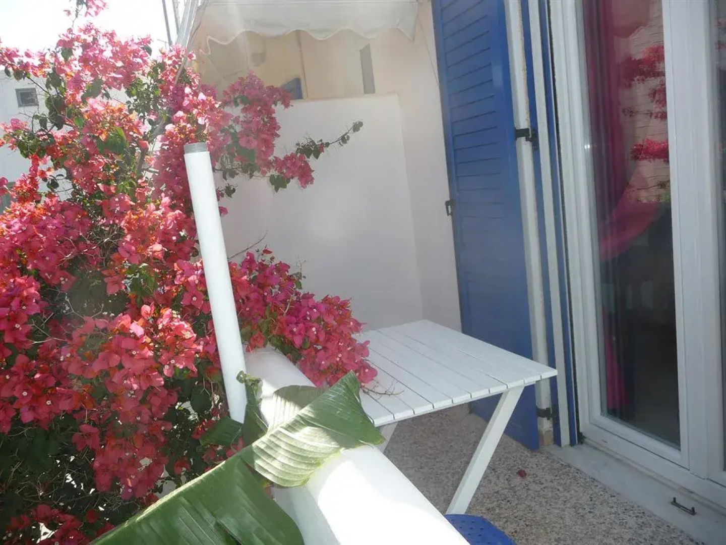 Margarita Studios