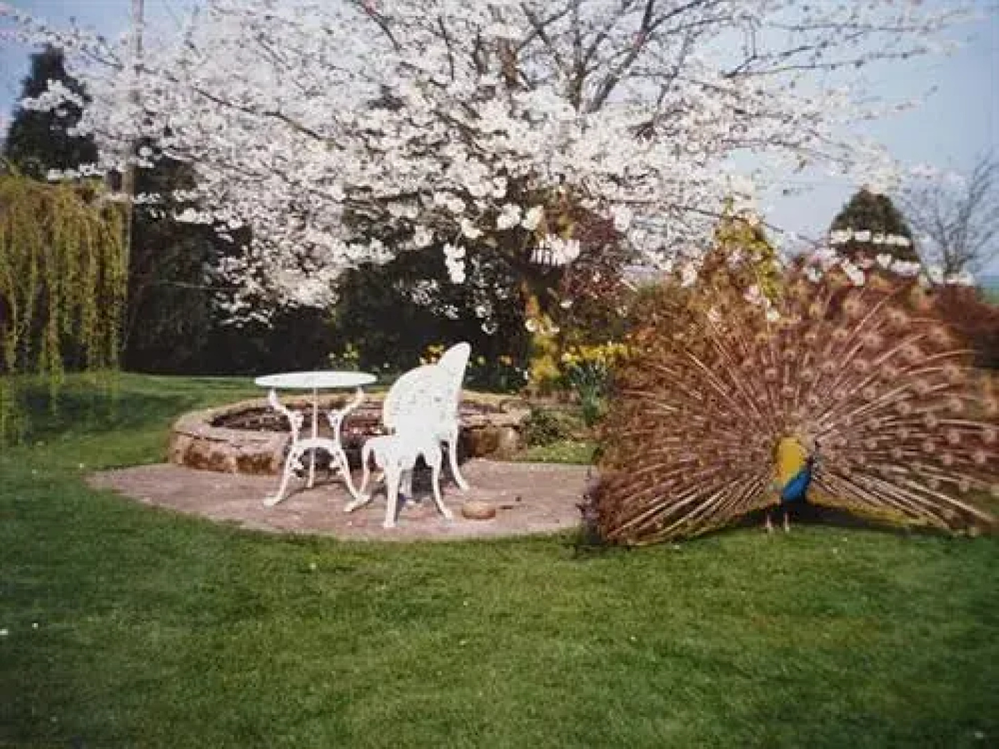 Lea Farm