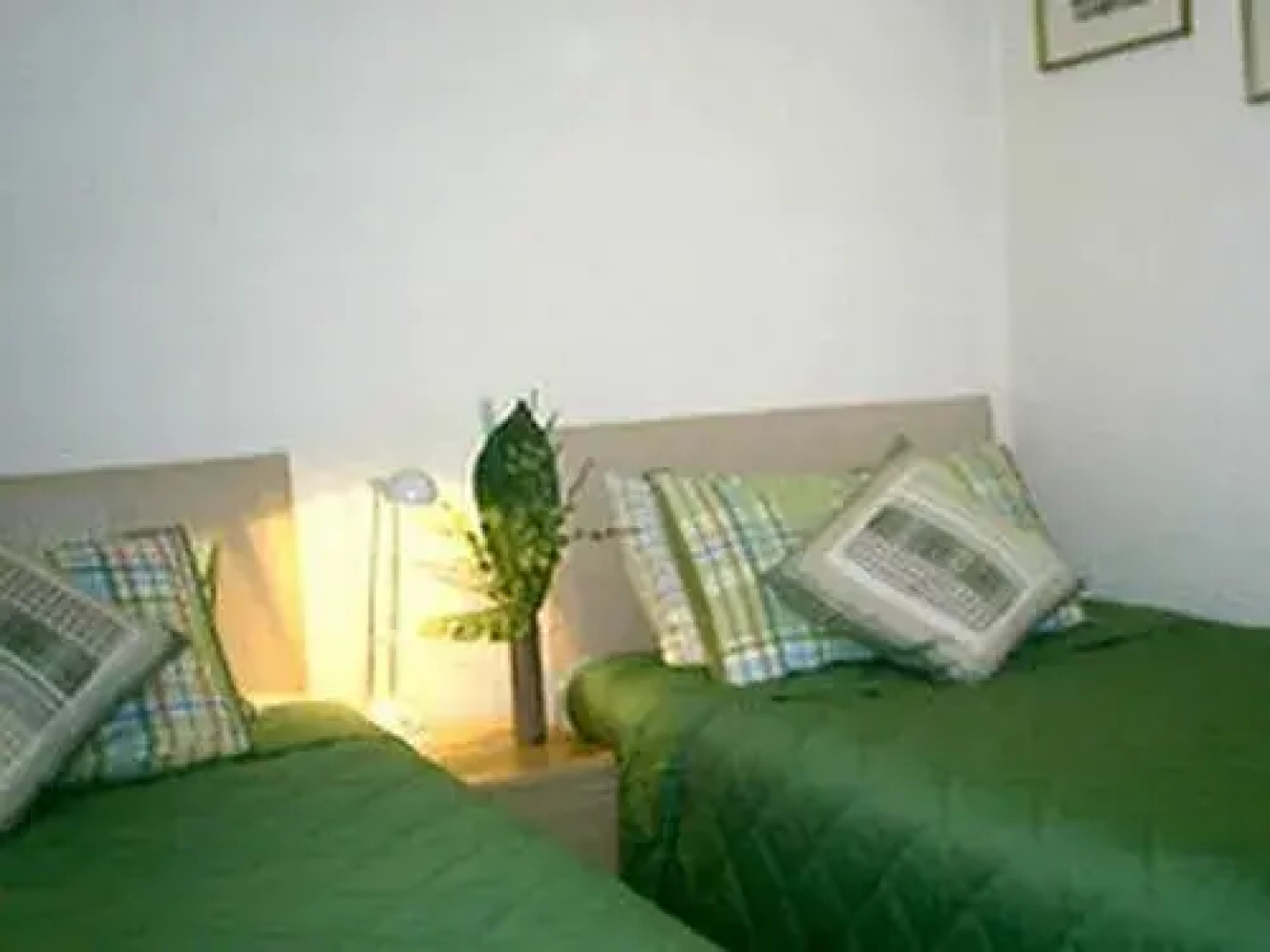 Fairholme Guest House