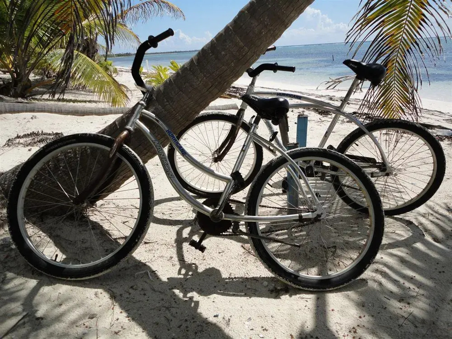 Sueno Del Mar
