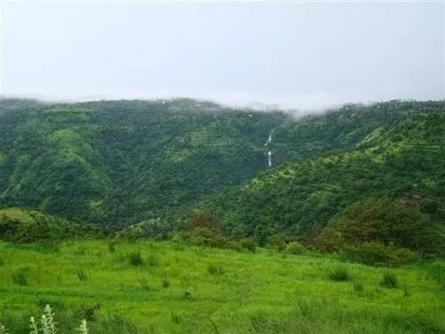 Shahee Resorts