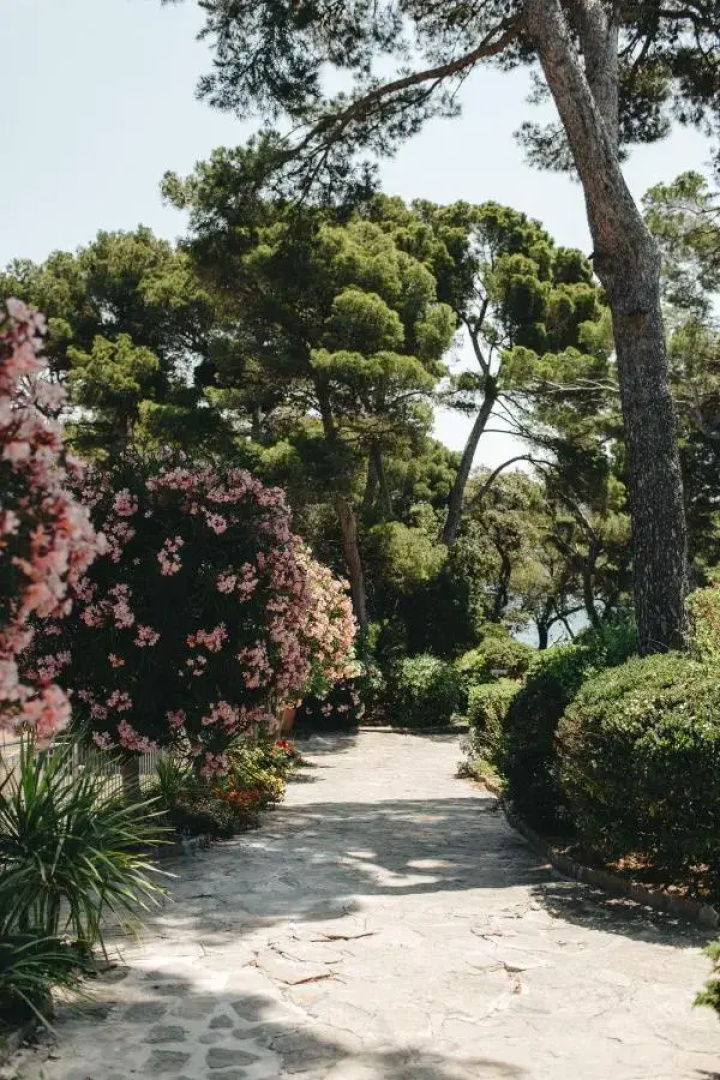 Hotel Le Provençal