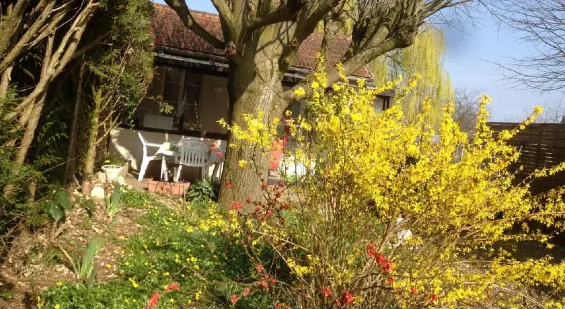 Gite Le Petit Nenuphar