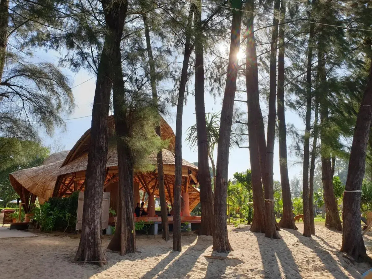 Отель Long Beach Chalet