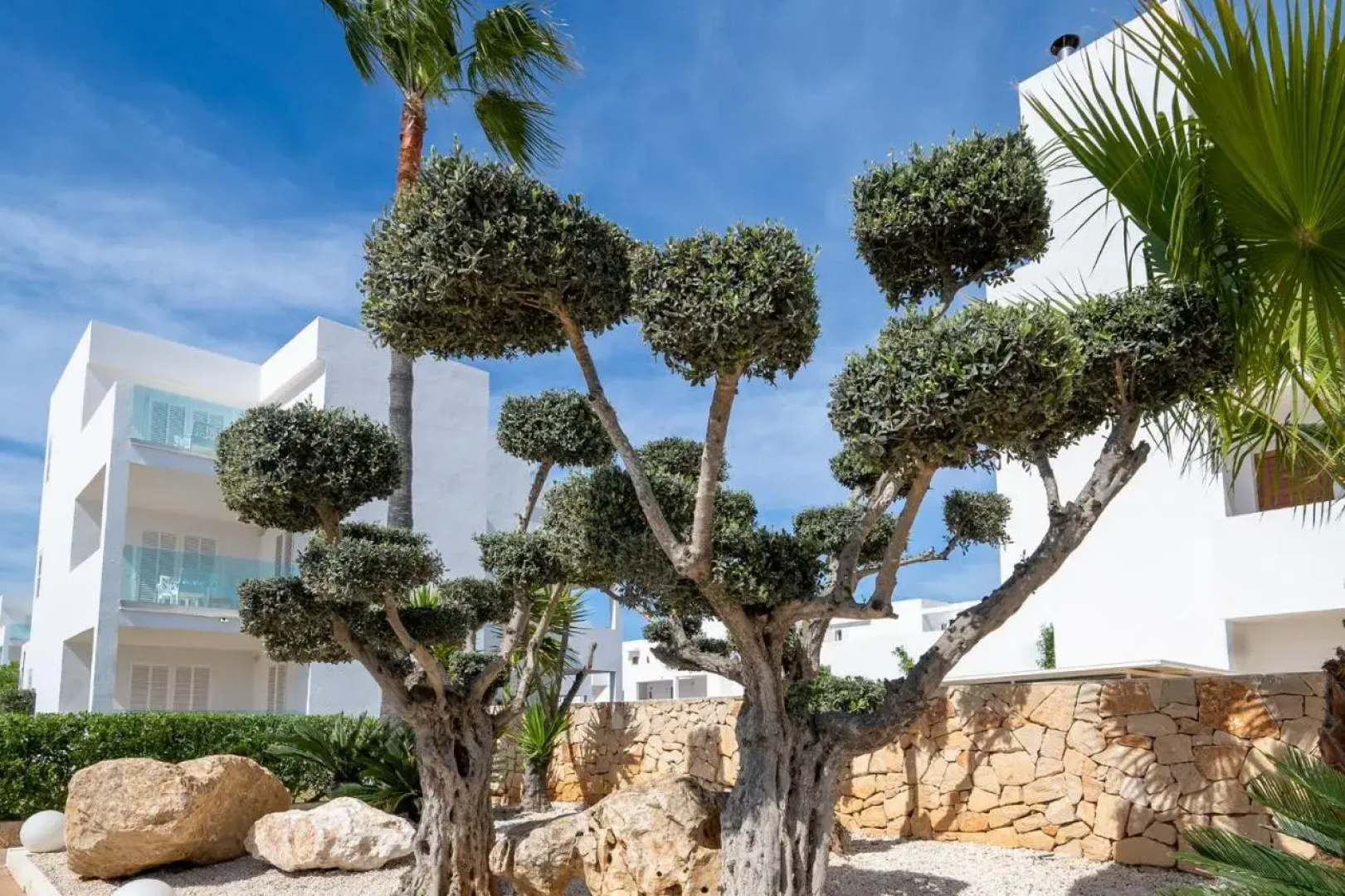 MarSenses Ferrera Blanca Hotel Family