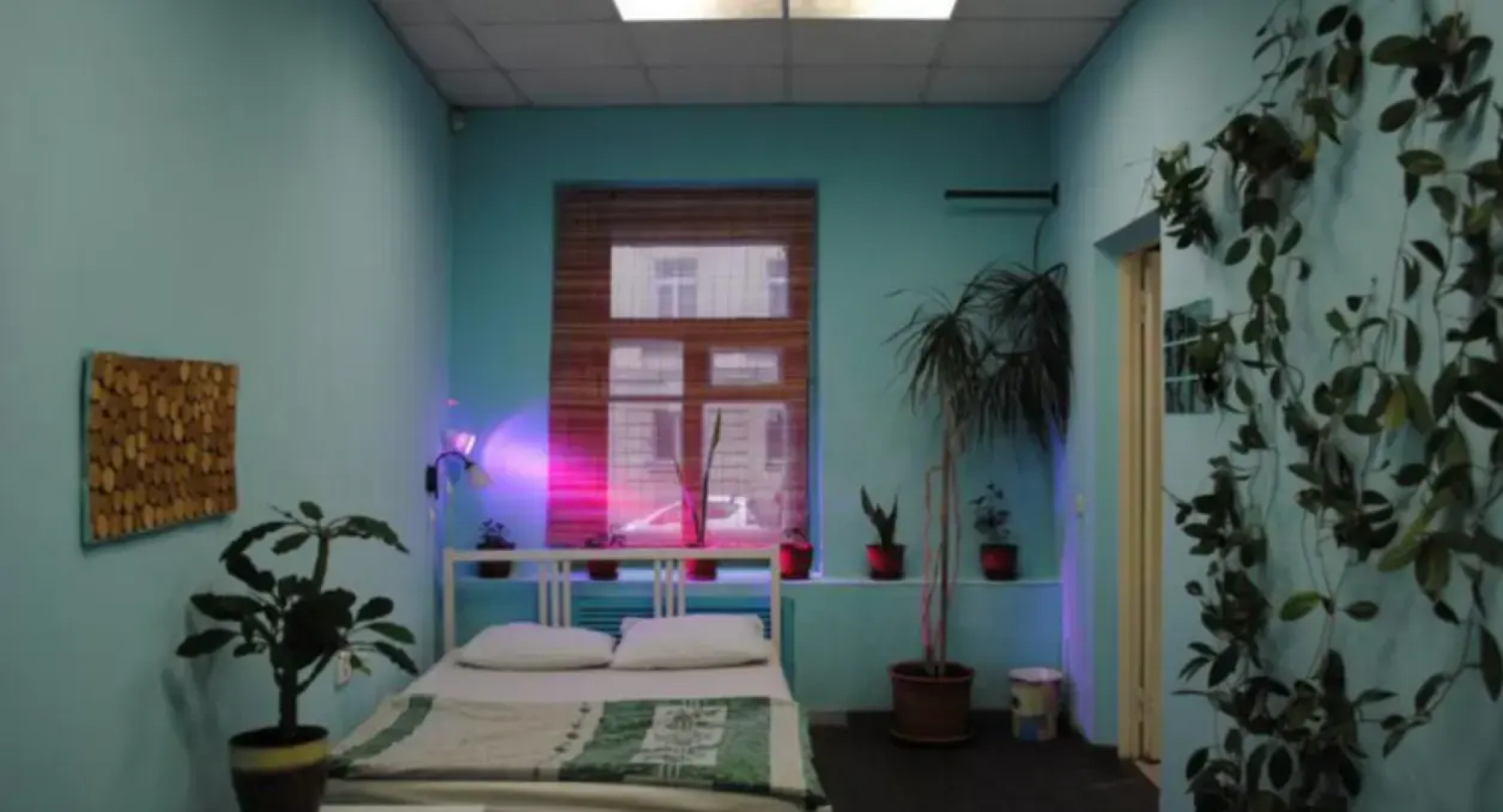 Botanic Hostel