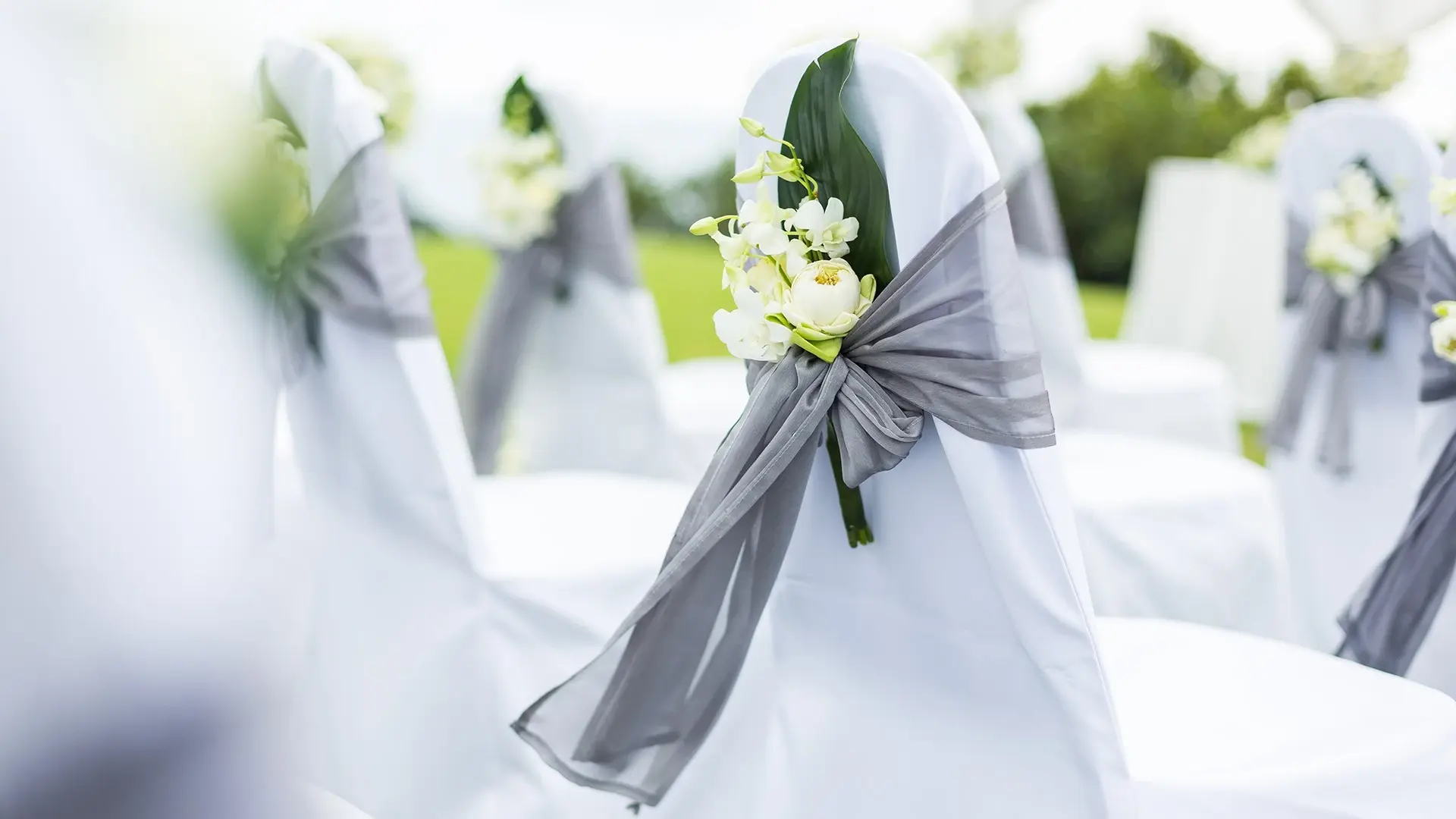 Отель Bled Rose