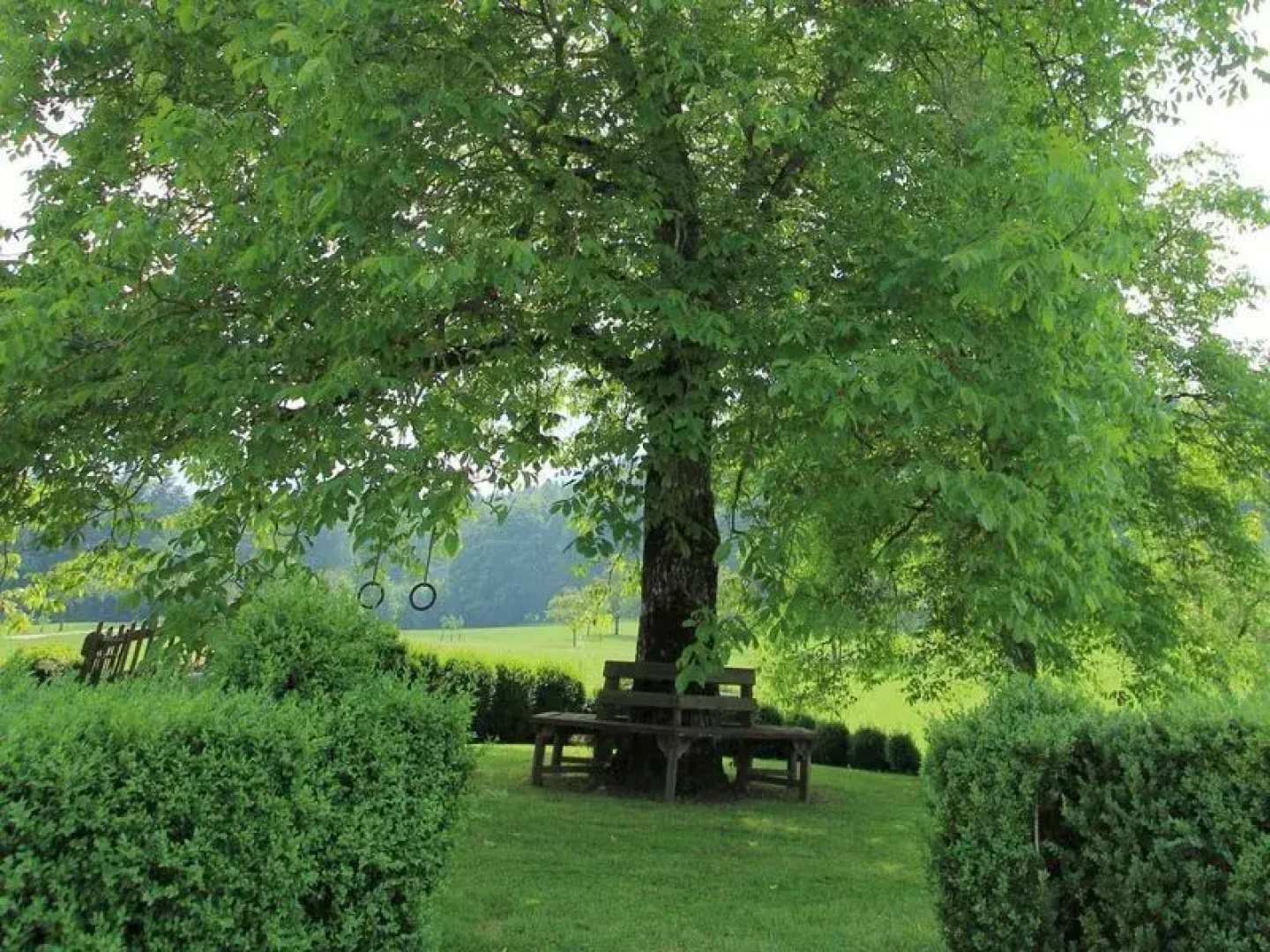 Bauernhof Bammer Im Herndlberg