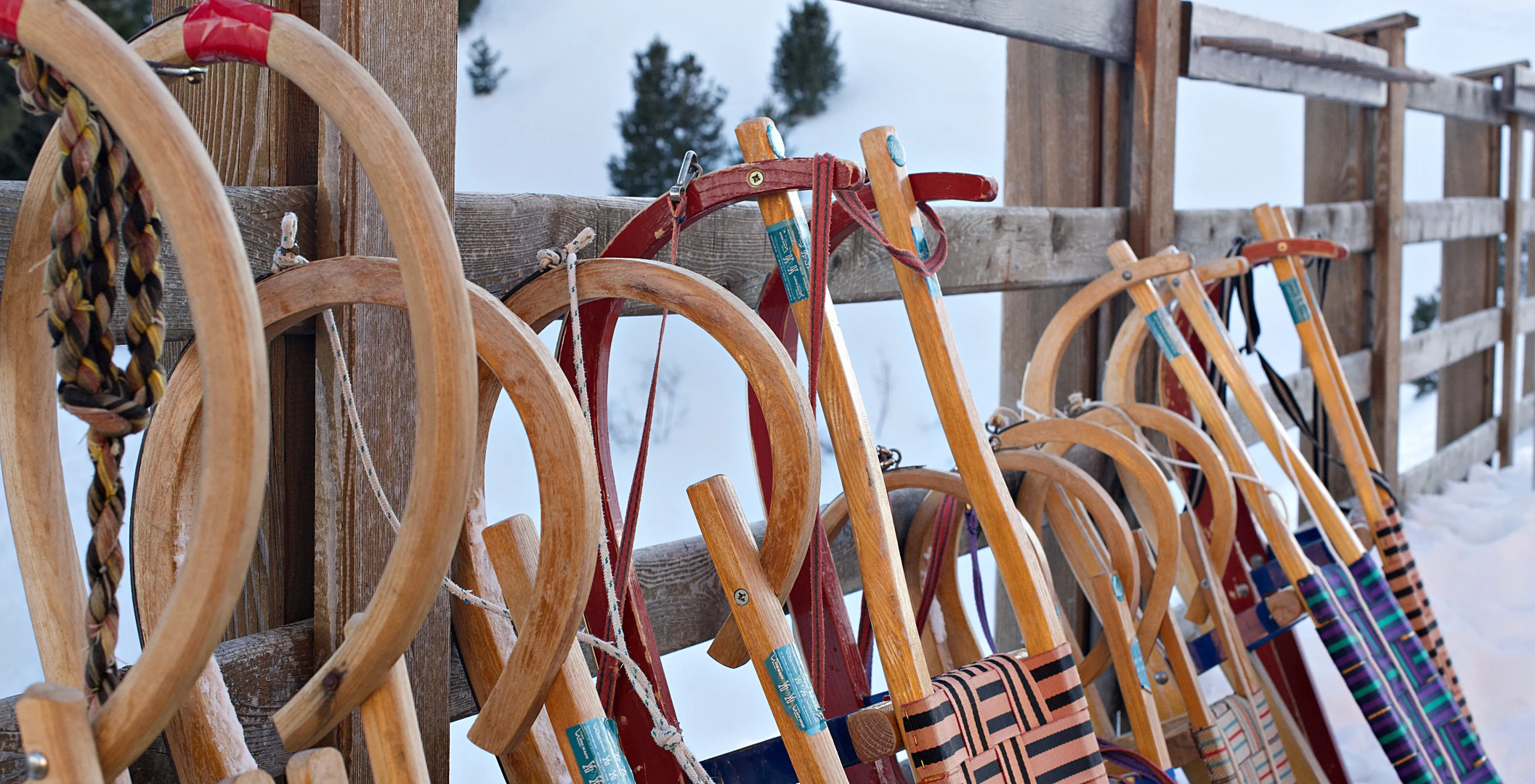 Paradiso Pure.Living