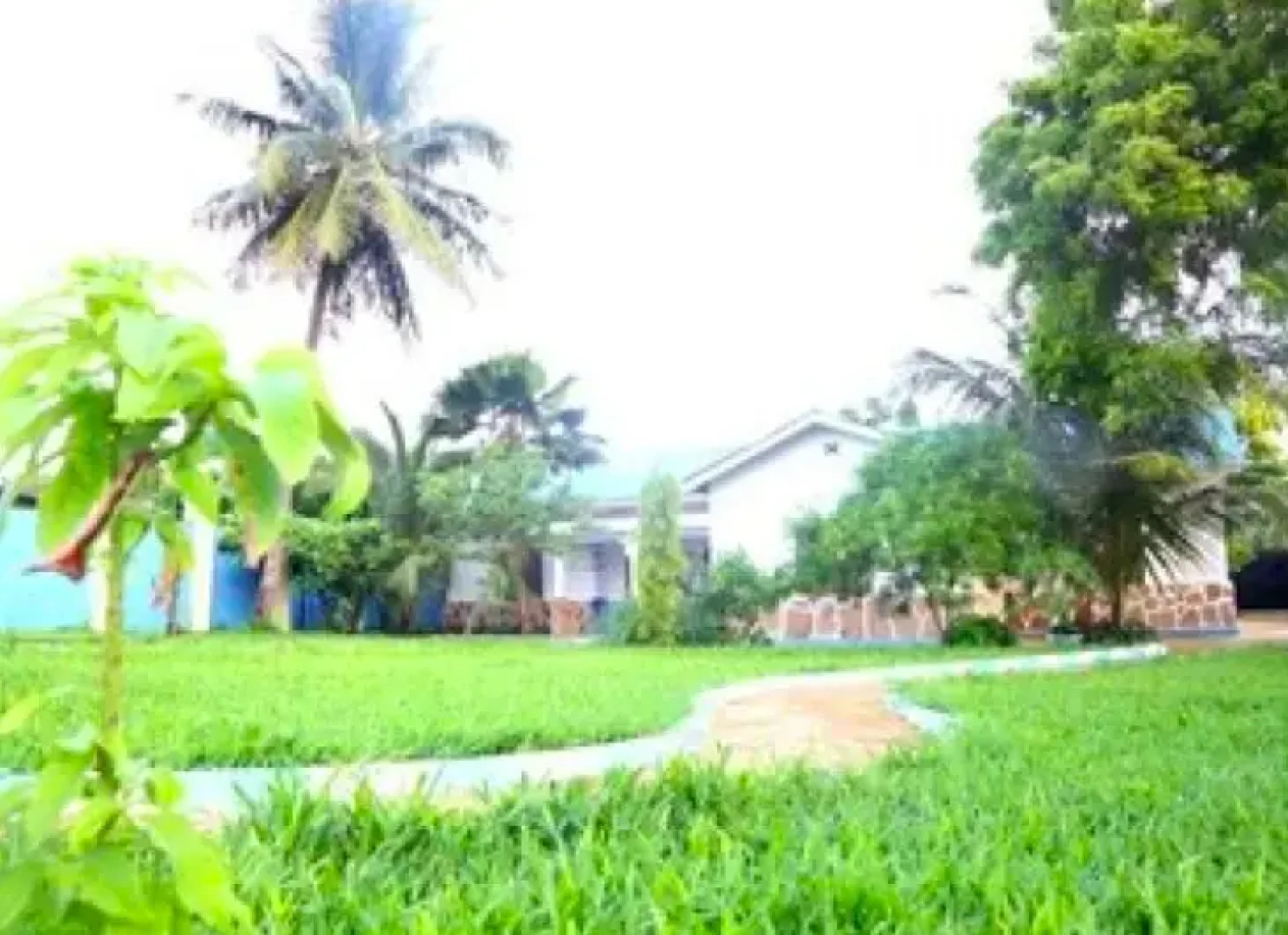 Greens Nungwi