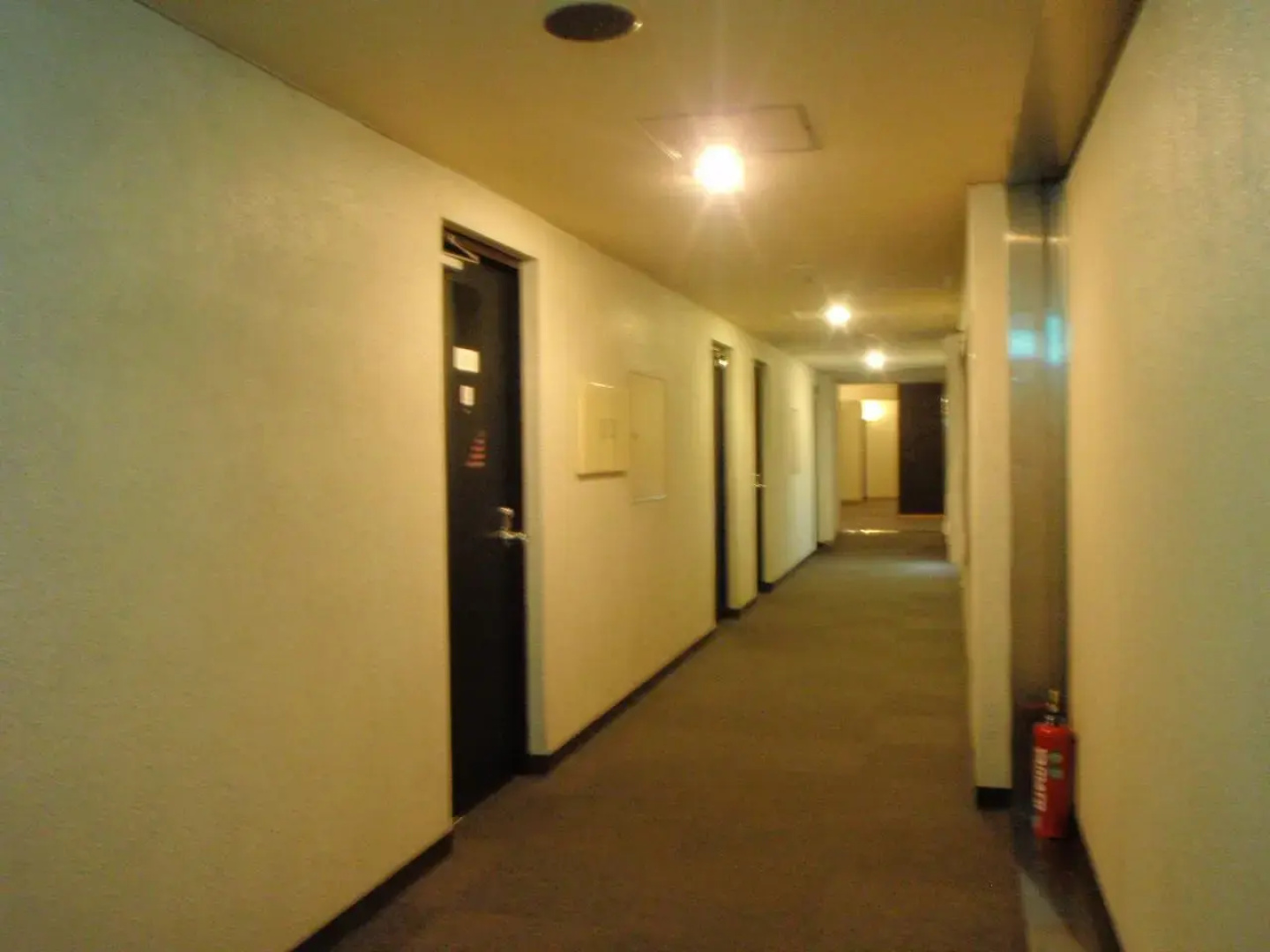 Miyakonojo Green Hotel