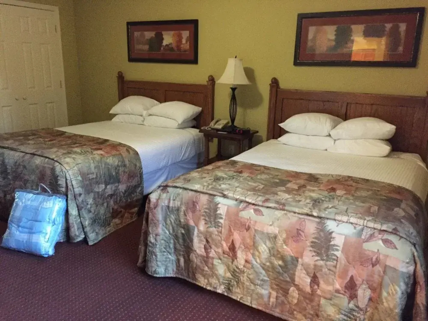 Branson At the Falls