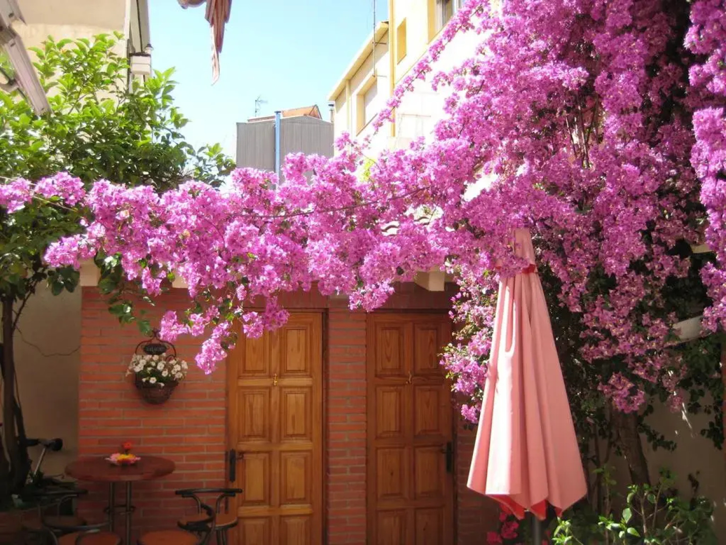 Pension Casa Austria