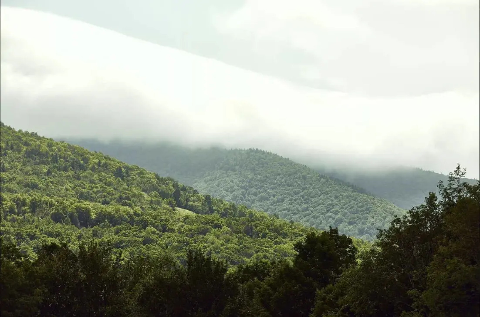 Hunter Lodge, a Bluebird by Lark