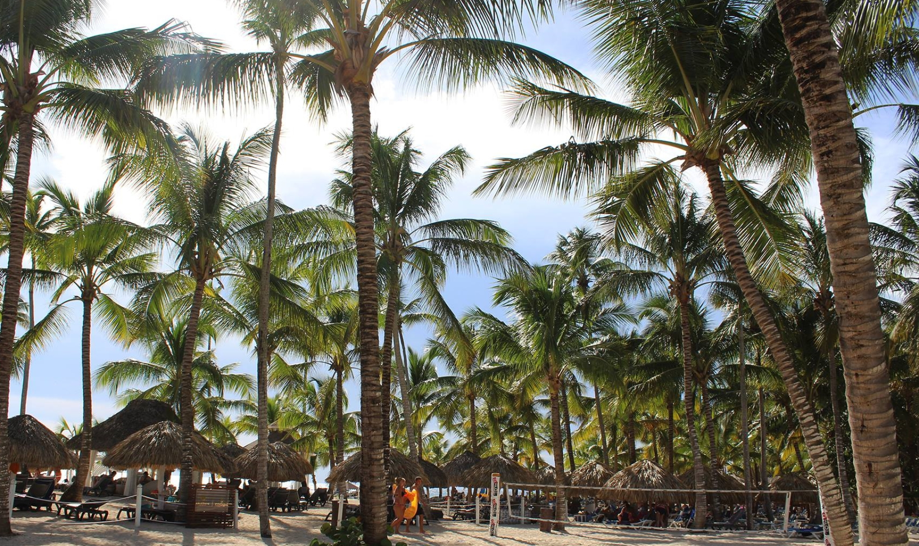 Отель Catalonia Bayahibe