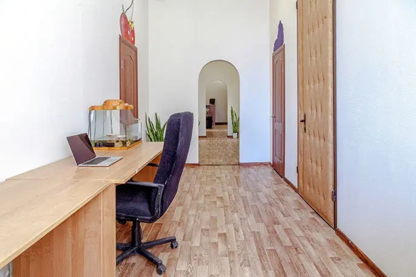 Hostel Multifruit