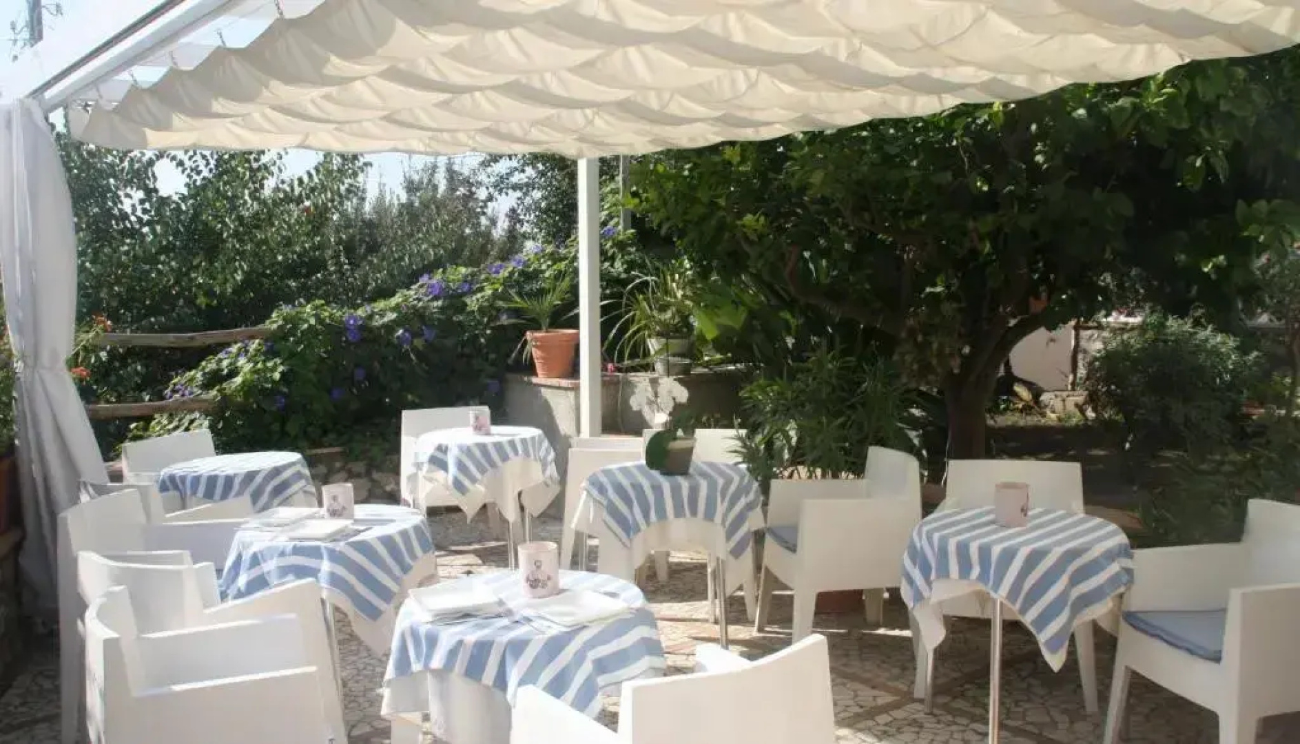 Hotel Senaria