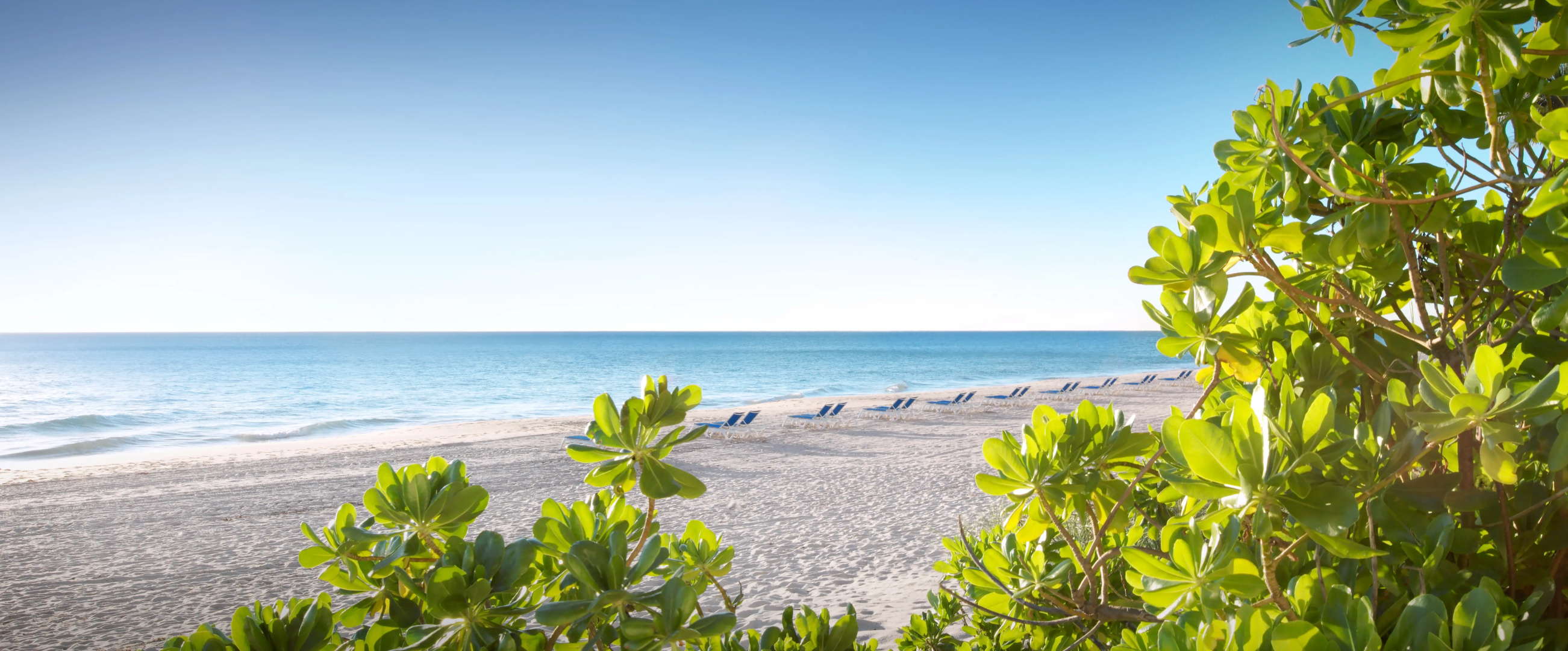 Pelican Grand Beach Resort - A Noble House Resort