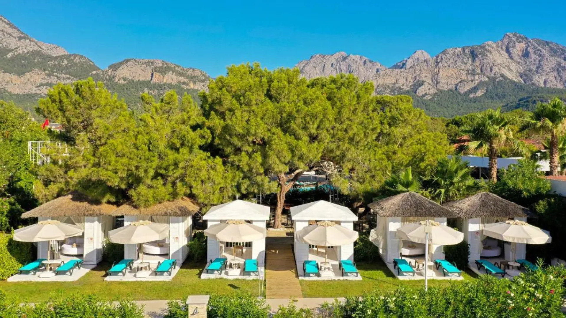 Crystal Prestige Pearl Collection