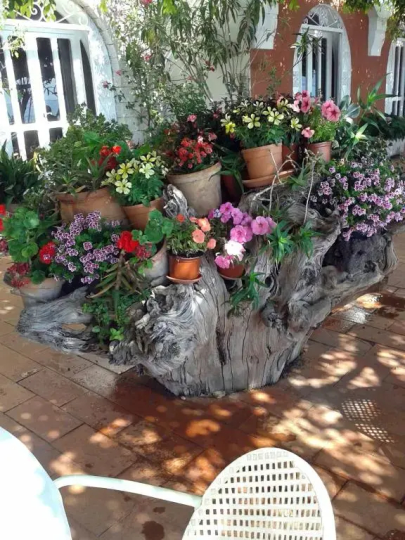 Hotel Lido Mediterranee